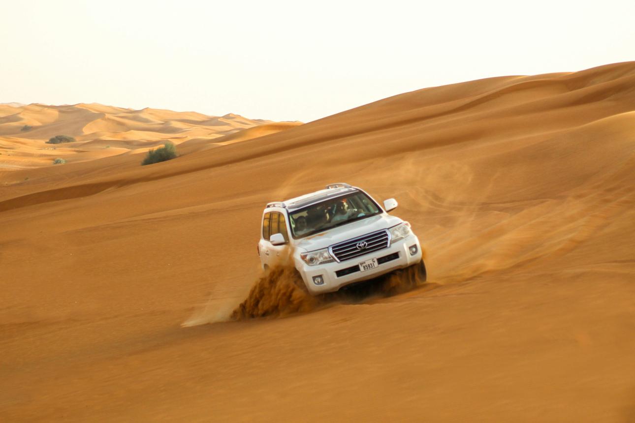 6D5N The Golden Dubai-Abu Dhabi Gallery 2